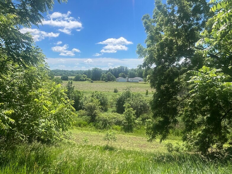 More Photos Of Fahrner Rd, Chelsea Land For Sale
