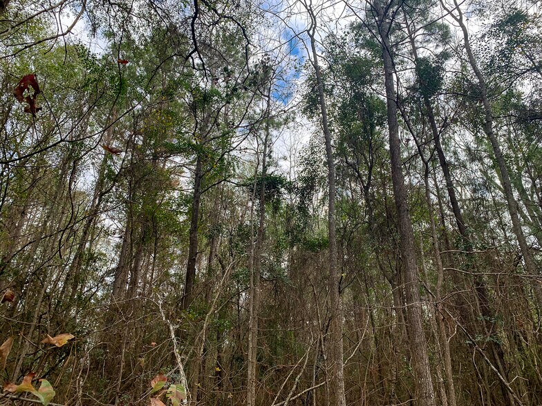 More Photos Of Highway 190, Huntsville Land For Sale