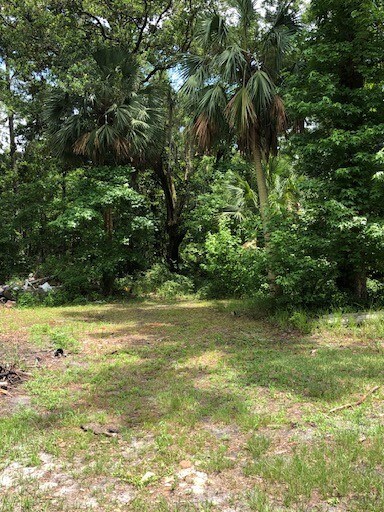 Primary Photo Of 73 Hope Ln, Saint Marks Land For Sale