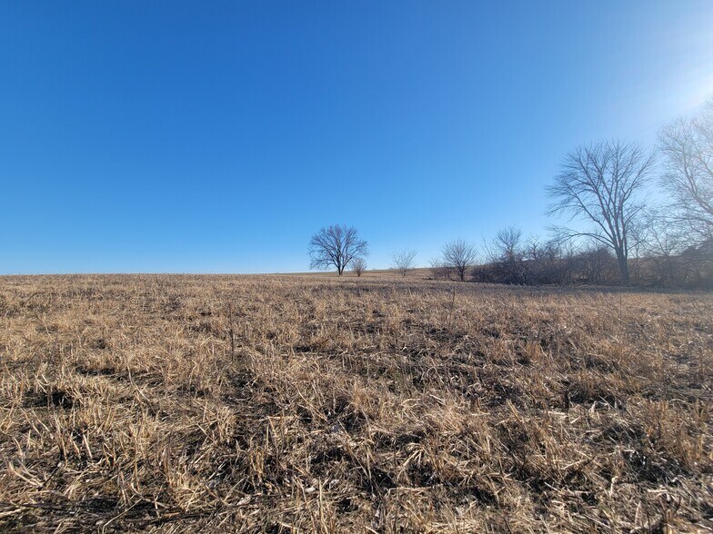 More Photos Of 171 Windy Hill Rd. (20+/- Acres), Elsberry Land For Sale