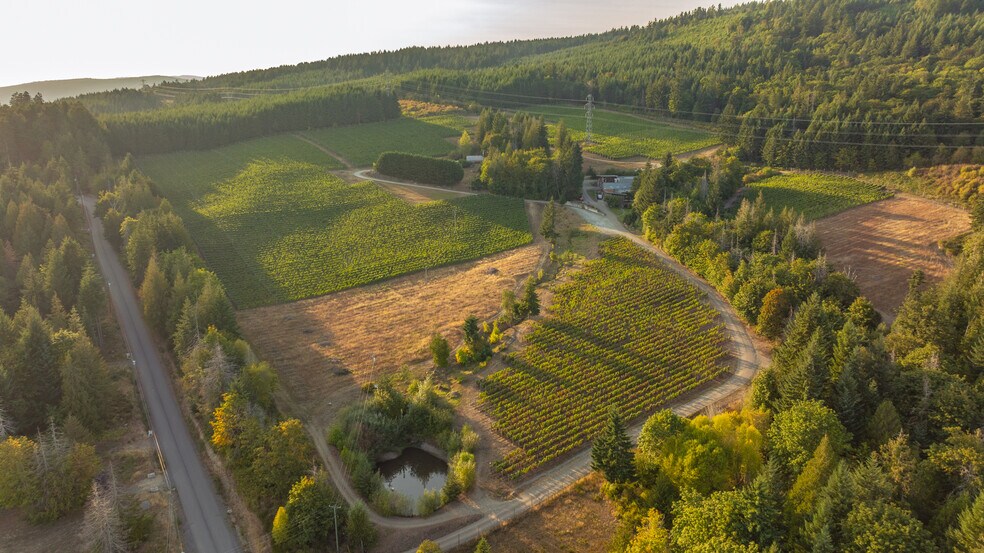 More Photos Of , Duncan Winery Vineyard For Sale