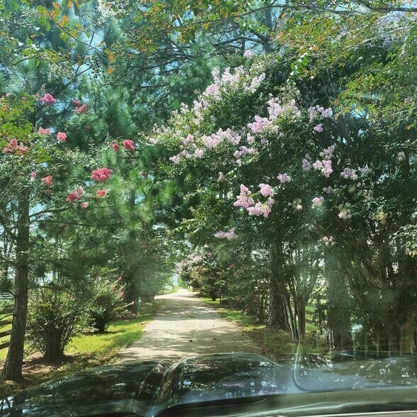 More Photos Of 2504 SH-304, Smithville Warehouse For Sale