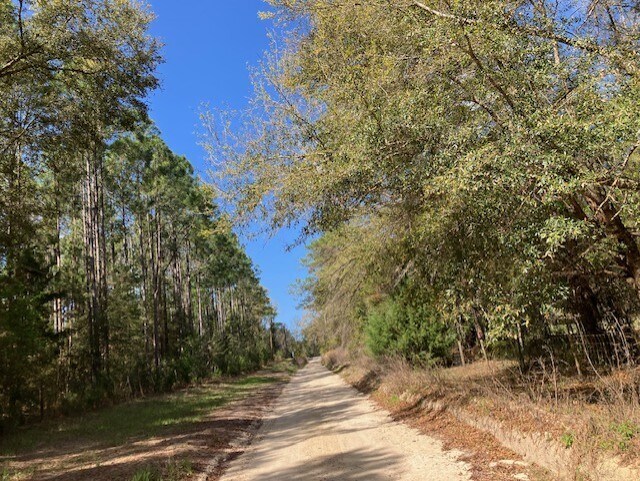 More Photos Of 1083 Obrien Point, Lecanto Land For Sale