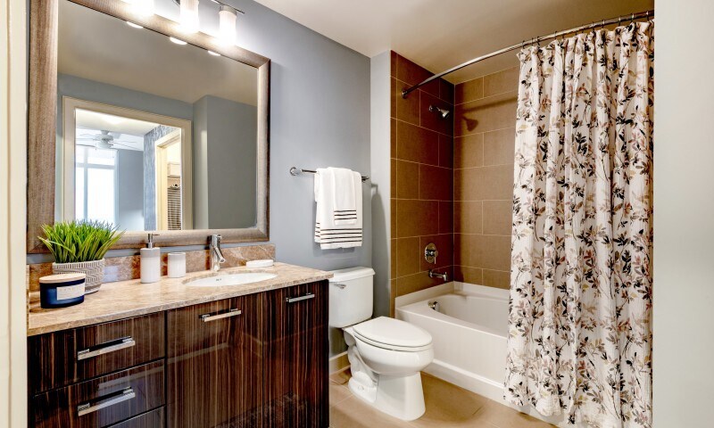 More Photos Of 8710 Cameron St, Silver Spring Apartments For Lease