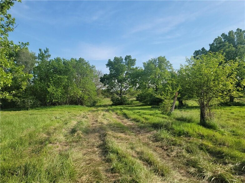 More Photos Of 1412 Jackson Rd, Williamsburg Land For Sale