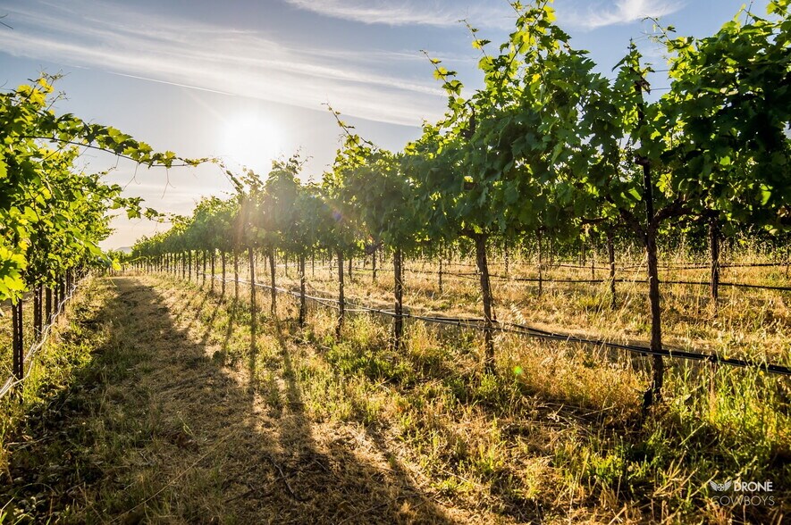 More Photos Of 31630 Forwards Rd, Manton Land For Sale