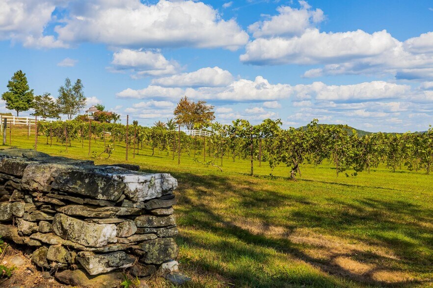 More Photos Of 1950 Collins Rd, Halifax Winery Vineyard For Sale