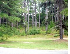 More Photos Of 225 University Pky, Aiken Land For Sale