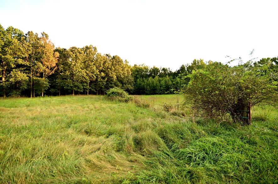 More Photos Of Cues Favorite @ La Plata Rd Route 488, Waldorf Land For Sale