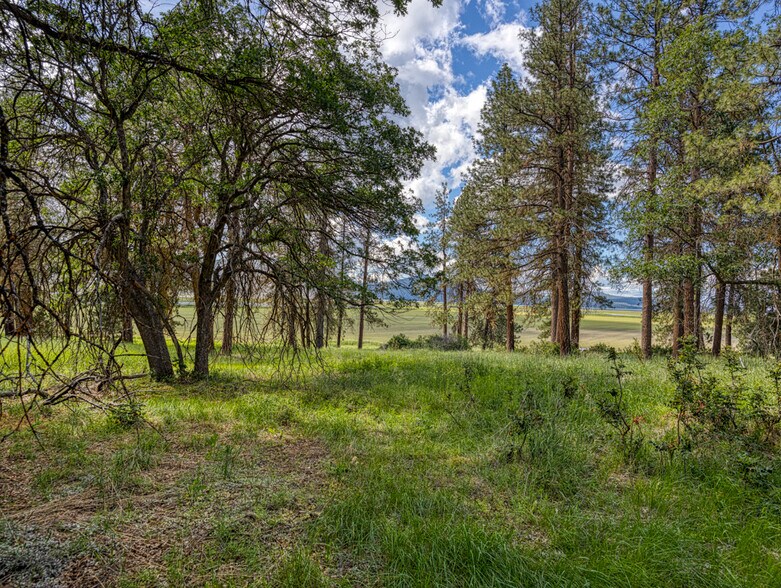 More Photos Of LP 1414 LP 1414 Highway 140 Hwy, Klamath Falls Land For Sale