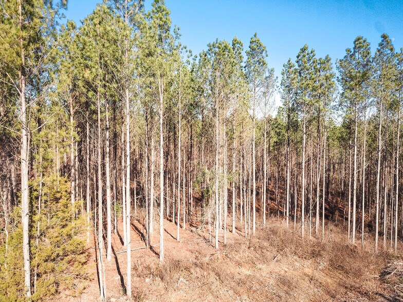 More Photos Of County Road 4141, New Site Land For Sale