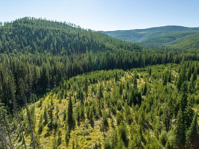 More Photos Of Nhn Logan Creek Road, Kila Land For Sale