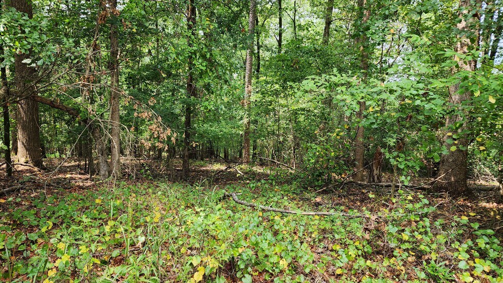 More Photos Of 1661 Friendship Rd, Hoschton Land For Sale