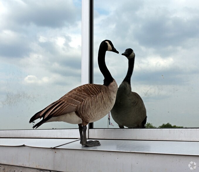 More Photos Of 1300 E 104th St, Kansas City Medical For Sale