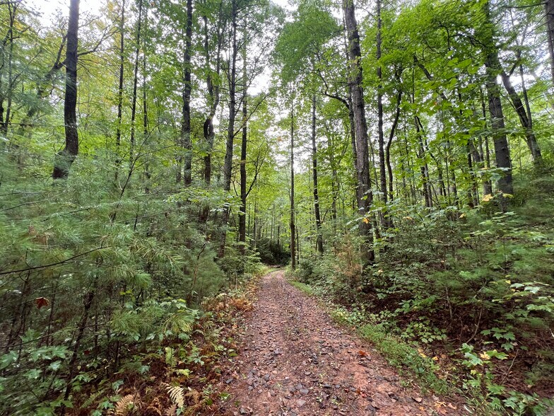 More Photos Of Whitecliff Drive, Ellijay Land For Sale