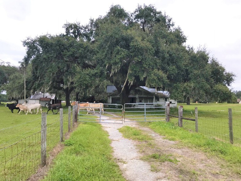 More Photos Of 1401 State Road 44, Leesburg Land For Sale