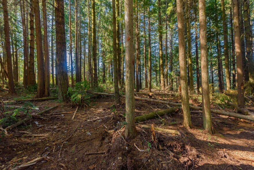 More Photos Of 0 Newmark ave, North Bend Land For Sale