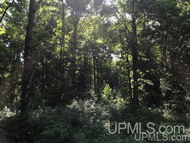 More Photos Of TBD Rock River Rd, Deerton Land For Sale