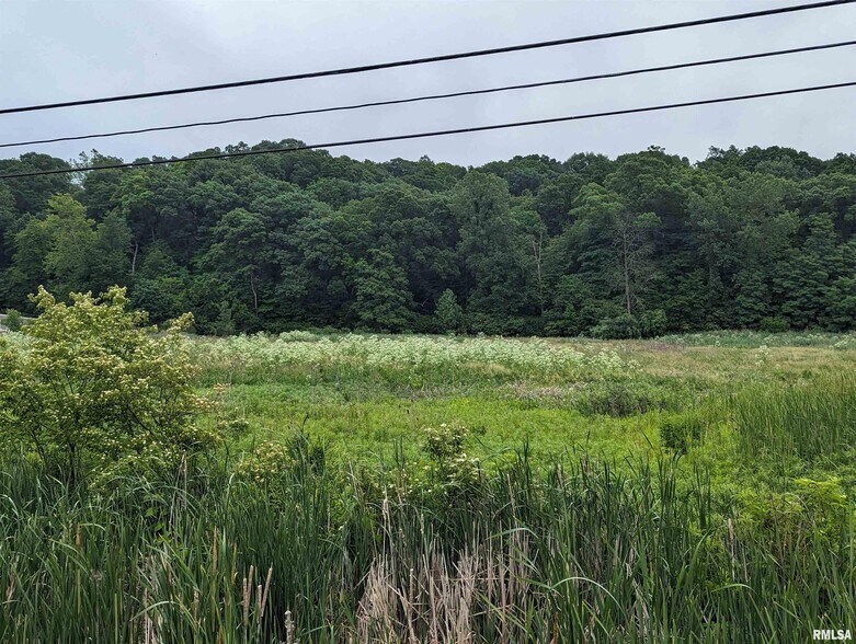 More Photos Of 3900 N Main St, East Peoria Land For Sale