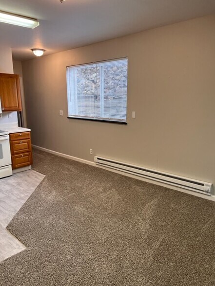 More Photos Of 217 W Masonic Ave, Cripple Creek Apartments For Sale