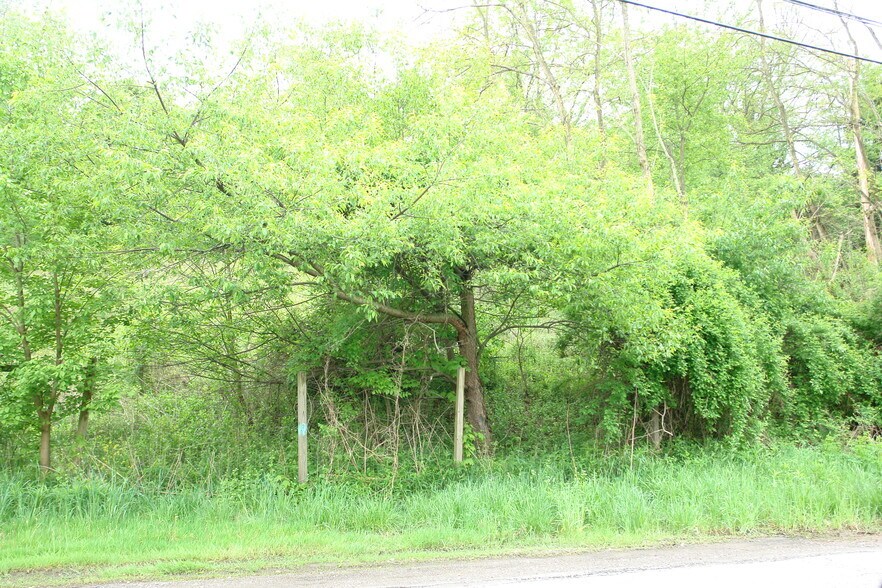 More Photos Of 3380 Saxonburg Blvd, Glenshaw Land For Sale