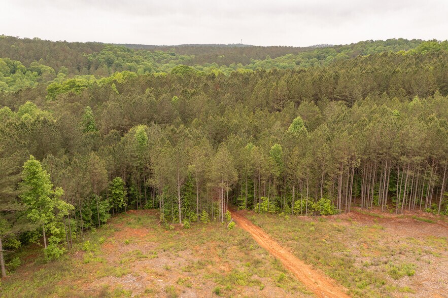More Photos Of HWY 515 & Hidden Creek rd, Jasper Land For Sale