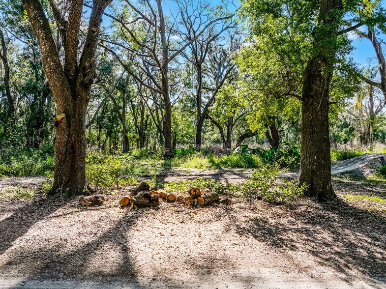 More Photos Of 3633 Panther Path Rd, Lutz Land For Sale