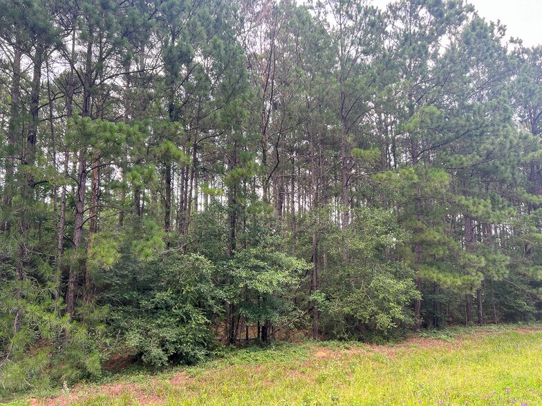More Photos Of 00 FM 2793, New Waverly Land For Sale