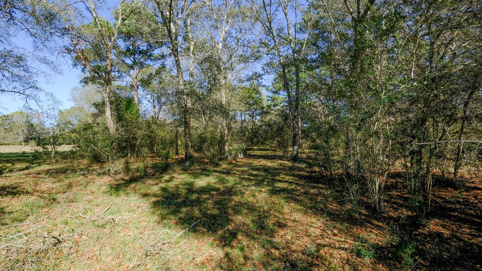 More Photos Of 26266 Fields Store Rd., Waller Land For Sale