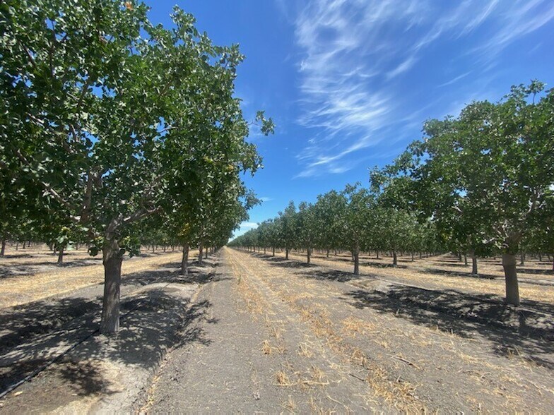 More Photos Of 8307 S Contra Costa Rd, Tranquillity Land For Sale