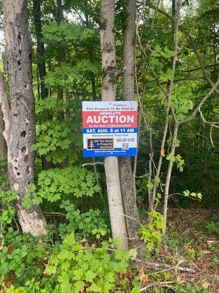 More Photos Of New Hampshire Route 12, Westmoreland Land For Sale