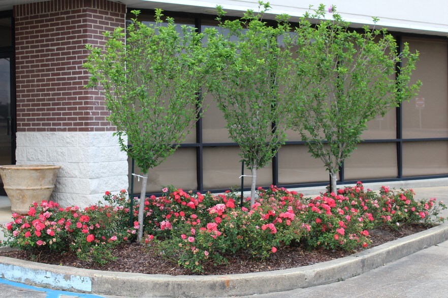 More Photos Of 4290 Lakeland Dr, Flowood Medical For Sale