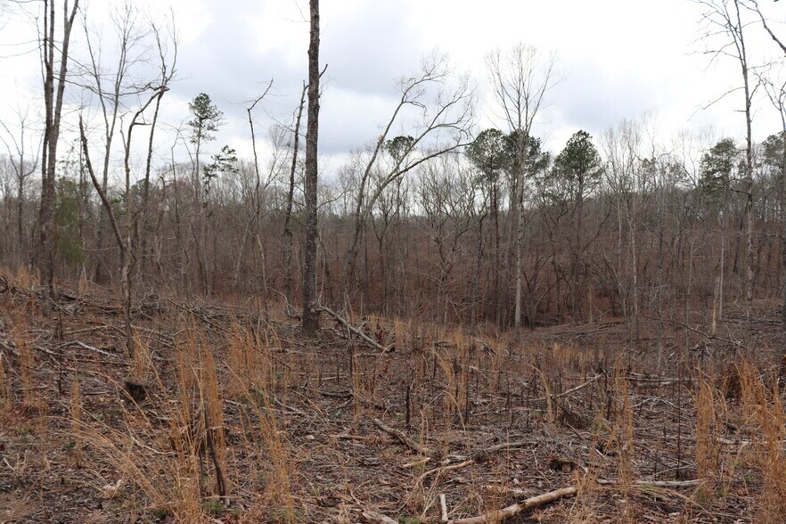 More Photos Of Knox Bridge Hwy @ Knox Bridge & Ficklen Church Hwy, Canton Land For Sale