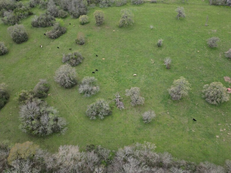 More Photos Of Jozwiak Ln, Hempstead Land For Sale