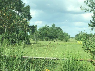 More Photos Of 7886 Fm 1960 Rd, Dayton Land For Sale