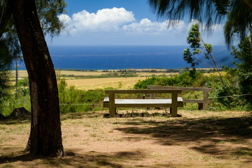 More Photos Of 1813 Baldwin Ave, Makawao Hotel For Sale