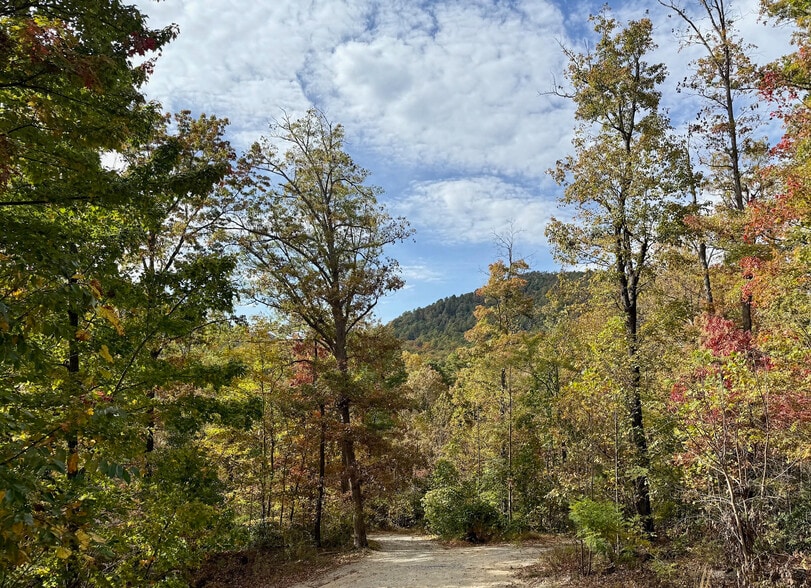 More Photos Of 126 Camp Elliott Rd, Black Mountain Specialty For Sale