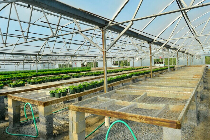 More Photos Of 39501 Meadowlark Dr, Hamilton Land For Sale