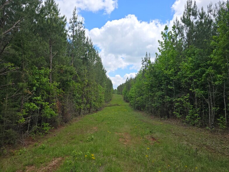 More Photos Of Davis Lake Rd @ Old Talbotton Rd, Thomaston Land For Sale