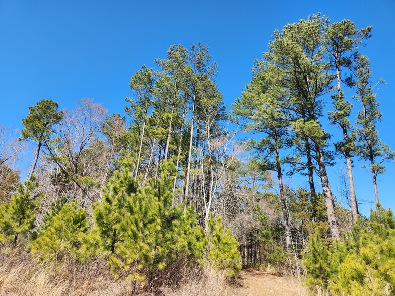More Photos Of 3004 U.S. 401 Hwy, Louisburg Land For Sale