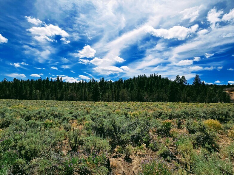More Photos Of 32611 Tackman Rd, Prineville Land For Sale