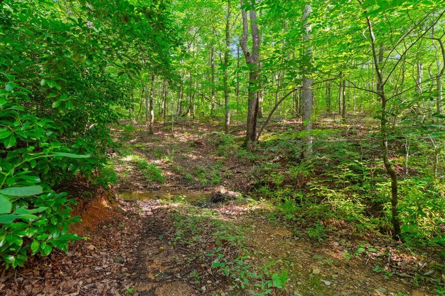 More Photos Of 2948 Holly Creek Cool Sprgs Rd, Chatsworth Specialty For Sale