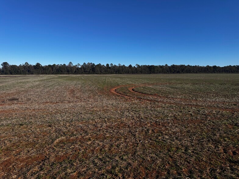 More Photos Of 0 Wiggins Road, Frisco City Land For Sale