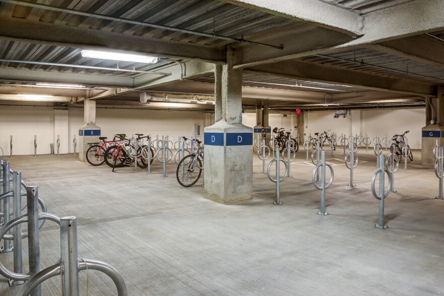 More Photos Of 20 Child St, Cambridge Apartments For Lease