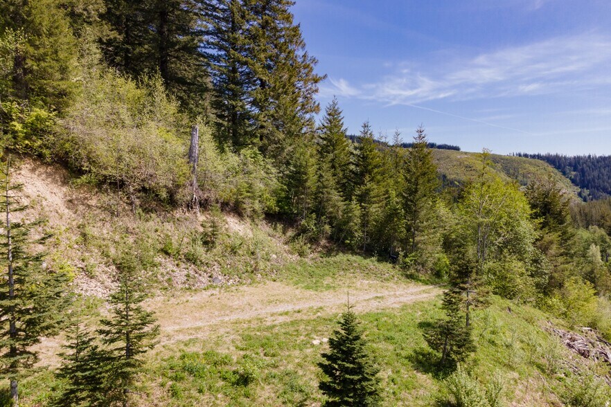 More Photos Of 0 Snag Mountain Road, Washougal Land For Sale