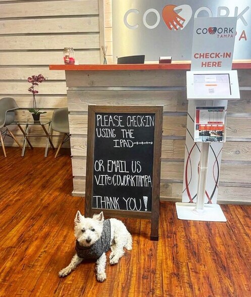 More Photos Of 3104 N Armenia Ave, Tampa Coworking Space