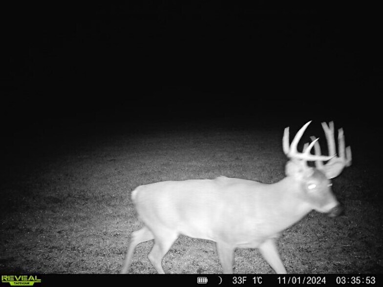 More Photos Of Fisher Road, Iola Land For Sale