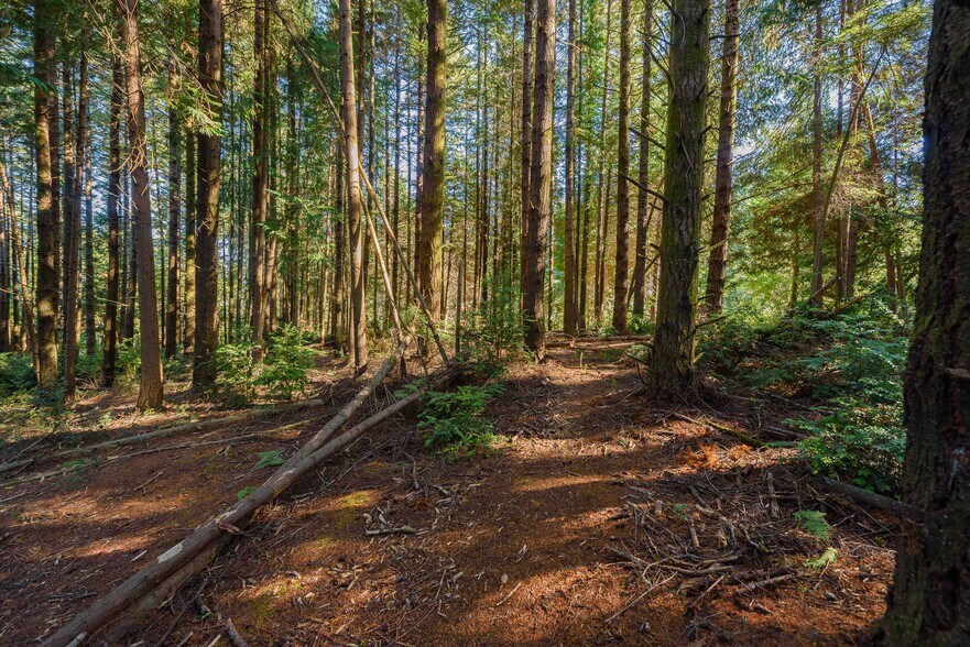 More Photos Of 0 Newmark ave, North Bend Land For Sale