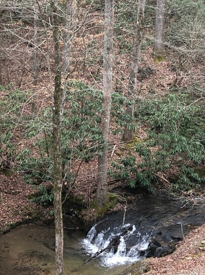 More Photos Of 29 Acorn Creek Rd, Clayton Land For Sale