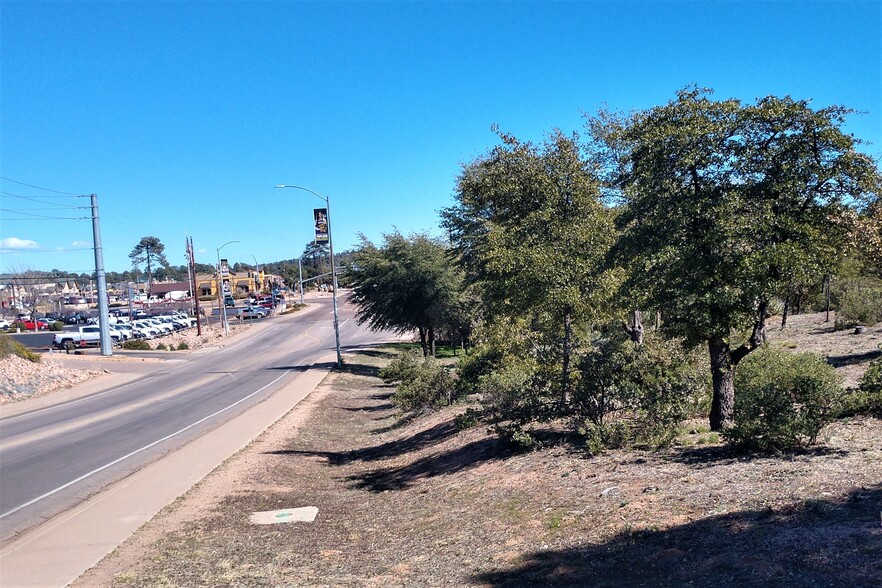 Primary Photo Of 201 W Longhorn Rd, Payson Land For Sale